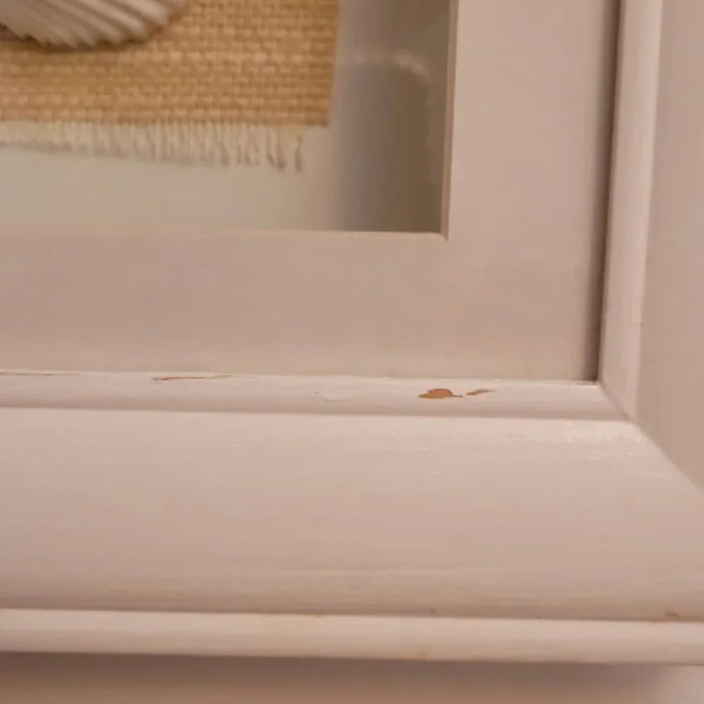 Sea Shell Shadow Boxes - Picture 10 of 11